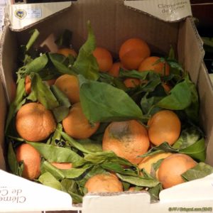 Clémentines de Corse toutes fraiches chez Lidl, carton 2