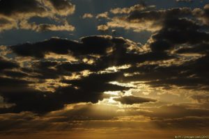 Clôture 2017 - Photo 002