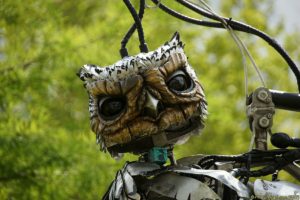 Clôture 2017 - Photo 012