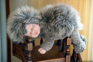 Clôture 2017 - Photo 014