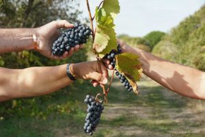 Clôture 2017 - Photo 020