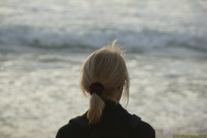 Clôture 2017 - Photo 022