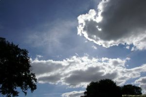 Clôture 2017 - Photo 025