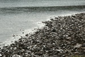 Clôture 2017 - Photo 034