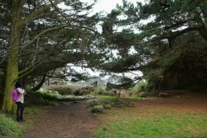 Clôture 2017 - Photo 036