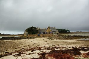 Clôture 2017 - Photo 037