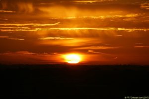 Clôture 2017 - Photo 038