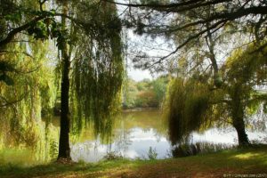 Clôture 2017 - Photo 040