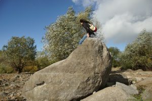 Clôture 2017 - Photo 043