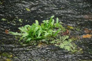 Clôture 2017 - Photo 044