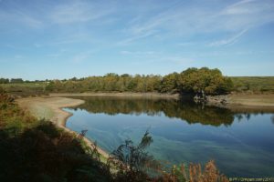 Clôture 2017 - Photo 045