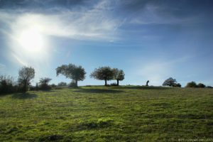 Clôture 2017 - Photo 046