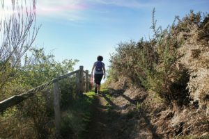 Clôture 2017 - Photo 047