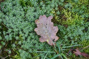 Clôture 2017 - Photo 048