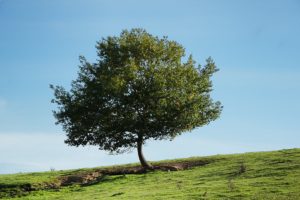 Clôture 2017 - Photo 049