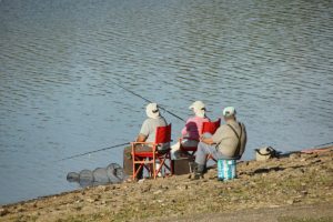 Clôture 2017 - Photo 050