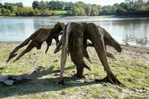 Clôture 2017 - Photo 052