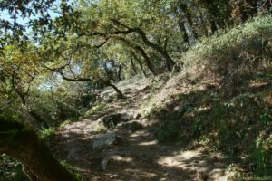 Clôture 2017 - Photo 053