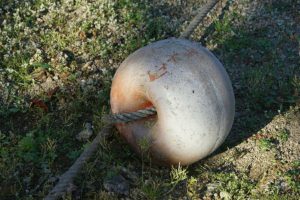 Clôture 2017 - Photo 054