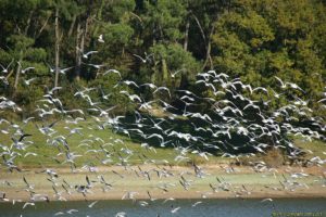 Clôture 2017 - Photo 056