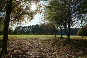 Clôture 2017 - Photo 057