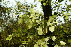 Clôture 2017 - Photo 058