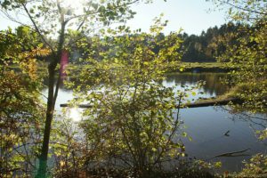 Clôture 2017 - Photo 059