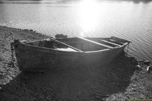 Clôture 2017 - Photo 061