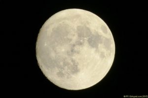 Clôture 2017 - Photo 062