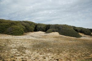 Clôture 2017 - Photo 064