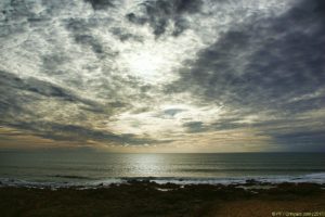 Clôture 2017 - Photo 065