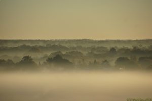 Clôture 2017 - Photo 066