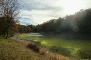 Clôture 2017 - Photo 068