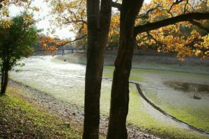 Clôture 2017 - Photo 069