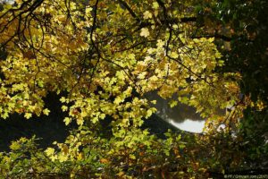 Clôture 2017 - Photo 070