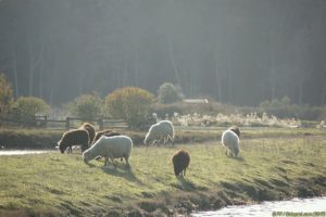 Clôture 2017 - Photo 079