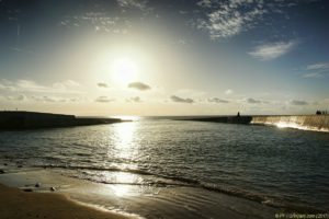 Clôture 2017 - Photo 080