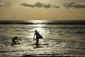 Clôture 2017 - Photo 081