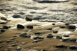 Clôture 2017 - Photo 082