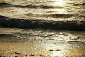 Clôture 2017 - Photo 083