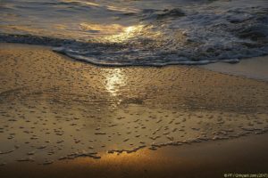 Clôture 2017 - Photo 084