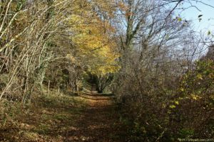 Clôture 2017 - Photo 086