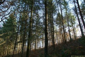 Clôture 2017 - Photo 087