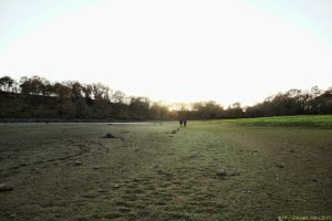 Clôture 2017 - Photo 090