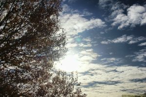 Clôture 2017 - Photo 092