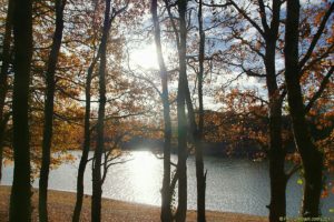 Clôture 2017 - Photo 093