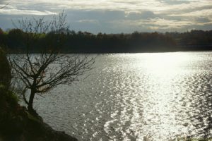 Clôture 2017 - Photo 094