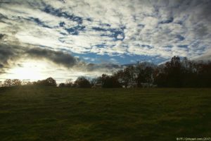 Clôture 2017 - Photo 098