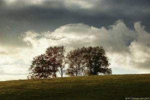 Clôture 2017 - Photo 101