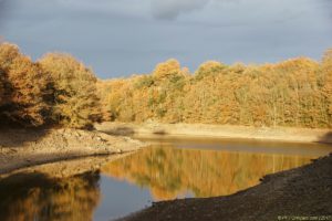 Clôture 2017 - Photo 102